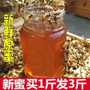 蜂蜜天然枸杞纯野生深山百花蜜 农家自产自销 土蜂蜜