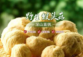 东北野生猴头菇（吉林长白山）干货野生蘑菇猴头菌养胃500g