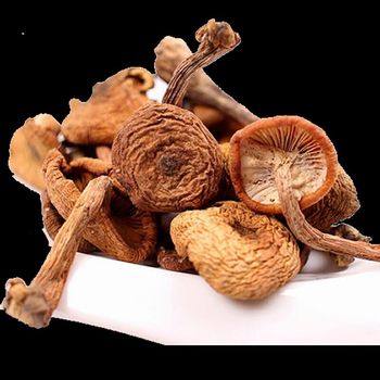 吉林臻选野生榛蘑 东北特产野生榛蘑菇 干货小鸡炖蘑菇榛蘑丁500g