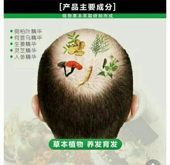 修正洗护套装 植物防脱去屑修护滋养柔顺洗发露+草本植萃修护乳