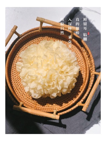 辰颐物语古田银耳6朵装 深山新鲜鲜珥 银耳  鲜银耳 白木耳 无硫雪耳约 720克 （每朵120g左右）