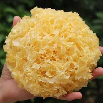 古田银耳软糯无硫胶质浓稠200g/250g/500g袋装