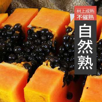 云南牛奶木瓜红心带箱9.5-10斤