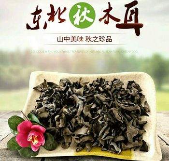 东北特产黑木耳（吉林长白山）特级纯秋木耳小碗耳250ml*2袋