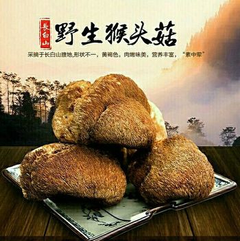东北野生土特产猴头菇（吉林长白山）干货野生蘑菇猴头菌养胃