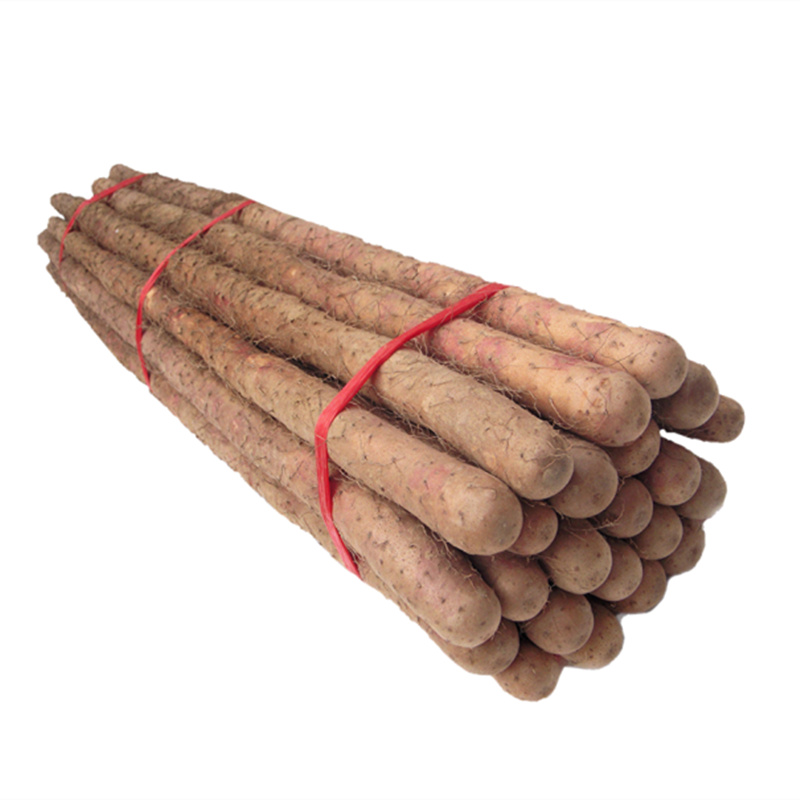 【远庄壹品】山东陈集新鲜铁棍山药5斤装(长度60cm起)